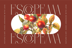 Qasnors - Modern Display Serif Product Image 12