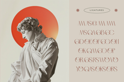 Qasnors - Modern Display Serif Product Image 15