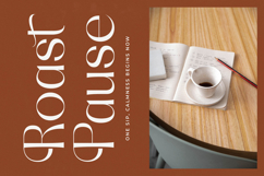 Qasntel - Elegant Serif Display Product Image 4