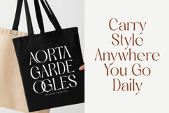 Qasntel - Elegant Serif Display Product Image 16