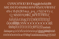 Qasntel - Elegant Serif Display Product Image 18