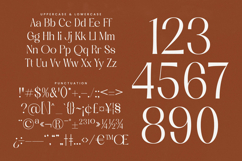 Qasntel - Elegant Serif Display Product Image 19