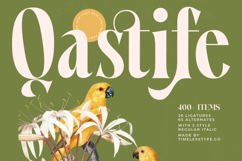 Qastife - Modern Serif Font Product Image 1