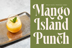 Qastife - Modern Serif Font Product Image 7