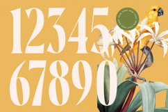 Qastife - Modern Serif Font Product Image 8