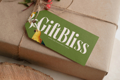 Qastife - Modern Serif Font Product Image 17