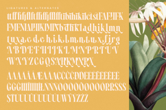 Qastife - Modern Serif Font Product Image 18