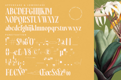 Qastife - Modern Serif Font Product Image 19