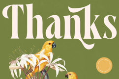 Qastife - Modern Serif Font Product Image 20