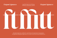 Qeftlight - Elegant Contrast Serif Product Image 4