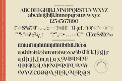 Qeftlight - Elegant Contrast Serif Product Image 10