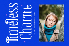 Qehanst - Modern Serif Font Product Image 8