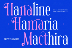 Qehanst - Modern Serif Font Product Image 11