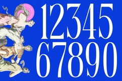 Qehanst - Modern Serif Font Product Image 14