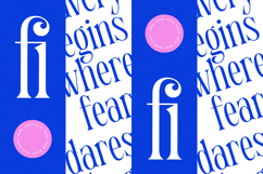 Qehanst - Modern Serif Font Product Image 16