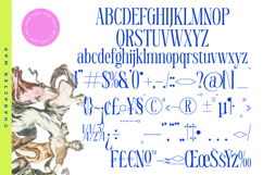 Qehanst - Modern Serif Font Product Image 18