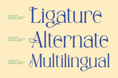 Qeilgera - Modern Classic Serif Font Product Image 7
