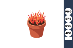 Potted ornamental grass plant with red and orange leaves in Product Image 1