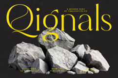 Qignals - Modern Serif Font Product Image 1