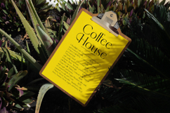 Qignals - Modern Serif Font Product Image 3