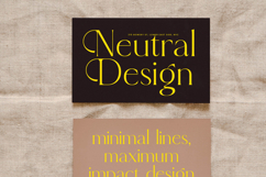 Qignals - Modern Serif Font Product Image 5