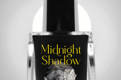 Qignals - Modern Serif Font Product Image 8