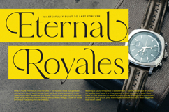 Qignals - Modern Serif Font Product Image 10