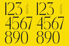 Qignals - Modern Serif Font Product Image 13