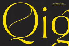 Qignals - Modern Serif Font Product Image 14