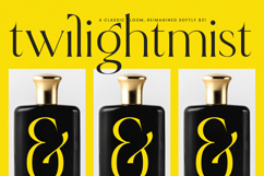 Qignals - Modern Serif Font Product Image 15