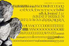 Qignals - Modern Serif Font Product Image 18