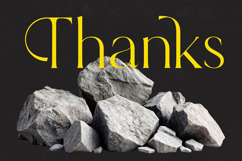 Qignals - Modern Serif Font Product Image 20