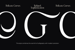 Qinfolk - Elegant Serif Font Product Image 14