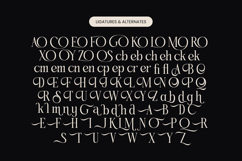 Qinfolk - Elegant Serif Font Product Image 18