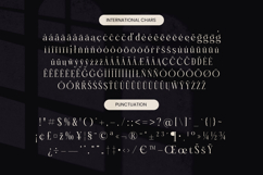 Qinfolk - Elegant Serif Font Product Image 19