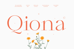 Qiona - Thin Serif Font Product Image 1