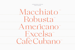 Qiona - Thin Serif Font Product Image 2