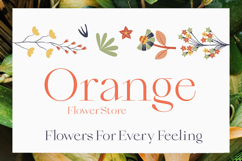 Qiona - Thin Serif Font Product Image 3