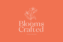 Qiona - Thin Serif Font Product Image 4