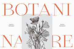 Qiona - Thin Serif Font Product Image 5