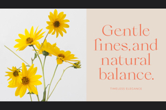 Qiona - Thin Serif Font Product Image 7