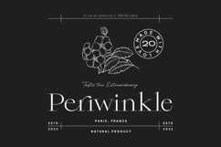 Qiona - Thin Serif Font Product Image 9