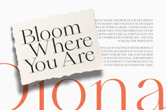 Qiona - Thin Serif Font Product Image 11