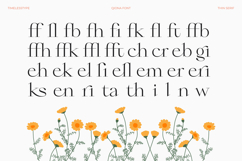 Qiona - Thin Serif Font Product Image 16