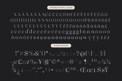 Qiona - Thin Serif Font Product Image 17