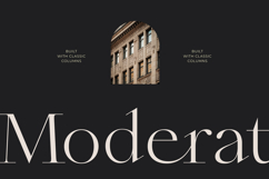 Qiona - Thin Serif Font Product Image 19