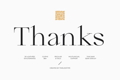 Qiona - Thin Serif Font Product Image 20