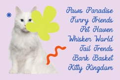 Qisplay Anakia - Modern Script Bold Product Image 7