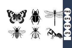 Insects collection vector with butterfly beetle dragonfly be Product Image 1