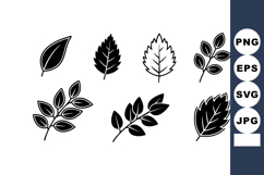 Vector black silhouette leaves collection with various leaf Product Image 1